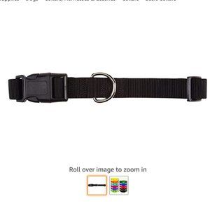 Zack & Zoey 1" Nylon Pet Collar